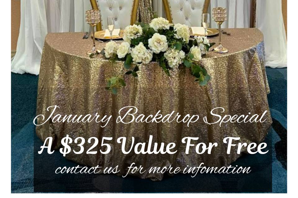 January Backdrop Special