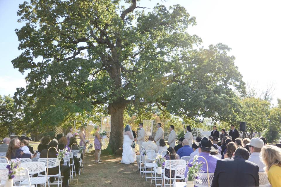 Wedding ceremony