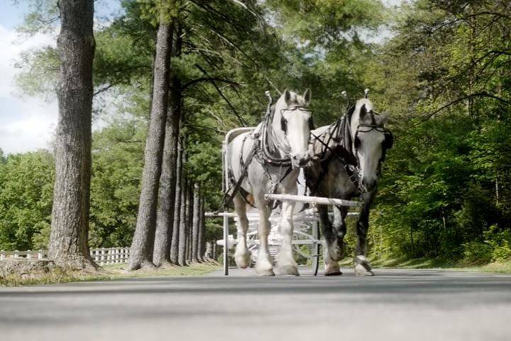 Shenandoah Crossing Resort