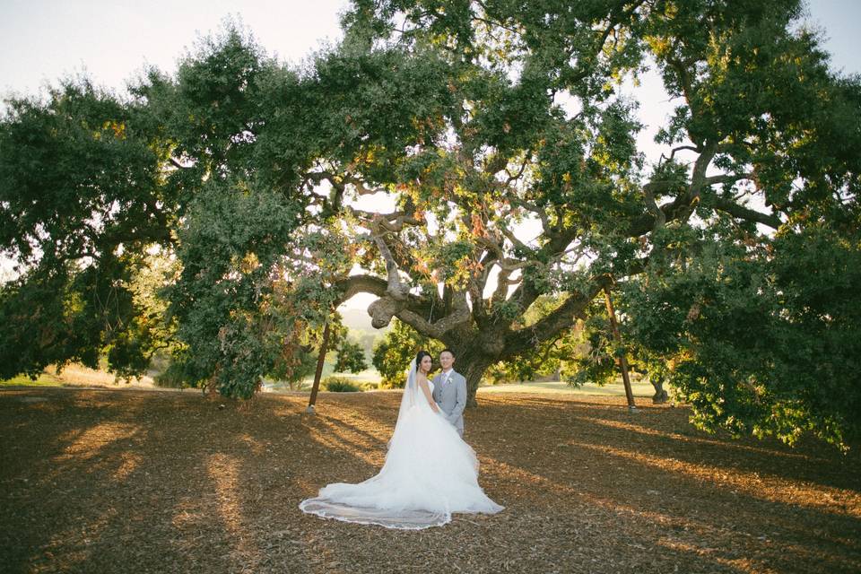 Bay Area Wedding Photography  The Club at Ruby Hill, Pleasanton