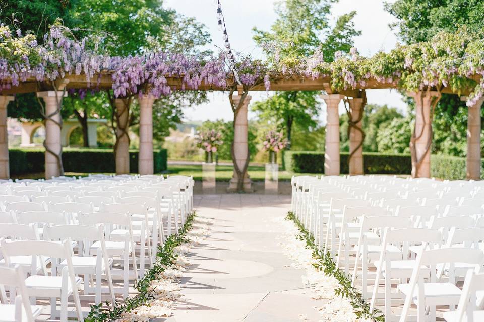 Ceremony Wisteria - Spring