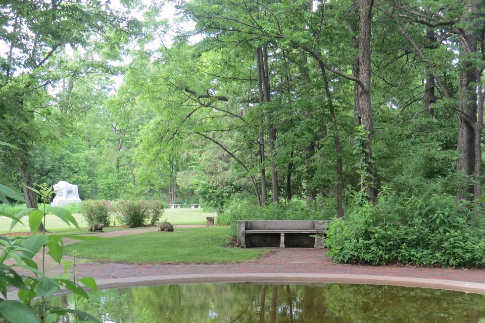 Redfield's Reflection Pond