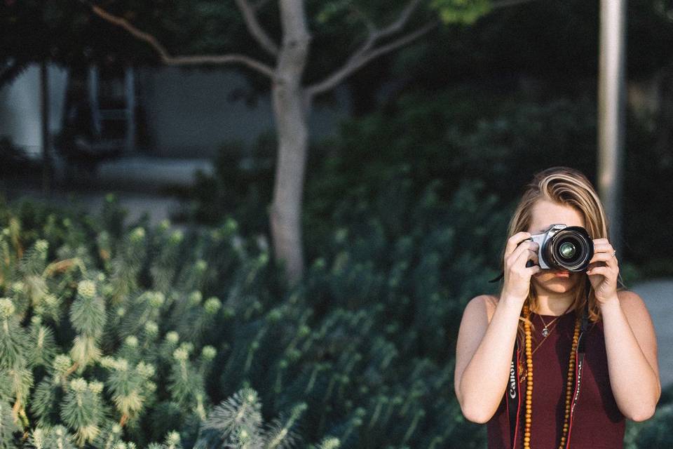 Winter Creative Co.