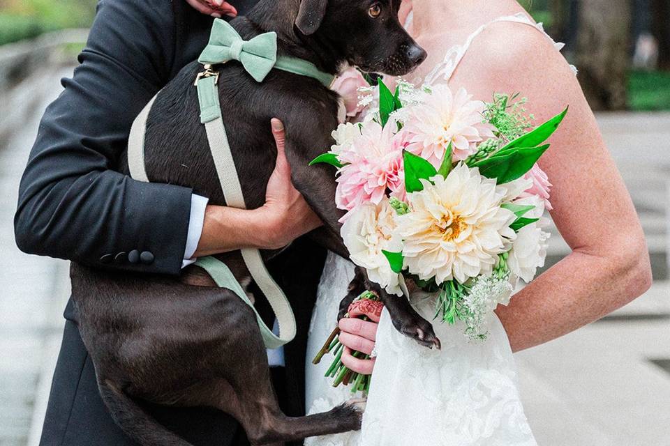 Charleston Wedding Coordinator