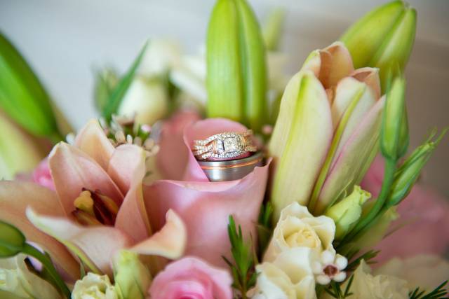 Nicole Hollenkamp Photography
