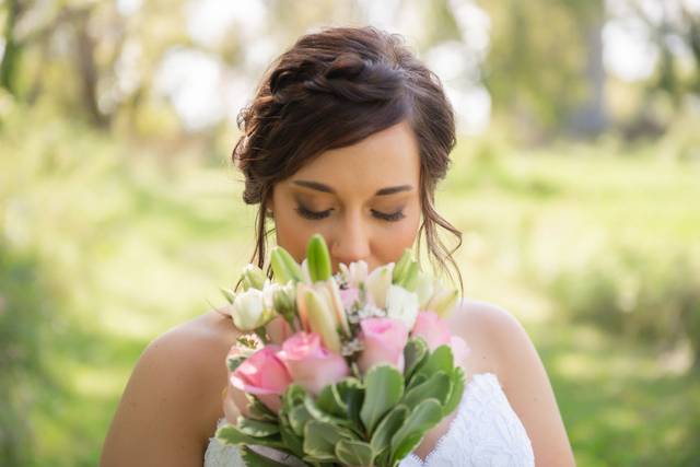 Nicole Hollenkamp Photography