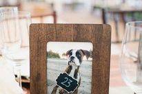 Pooch Inspired Table #s