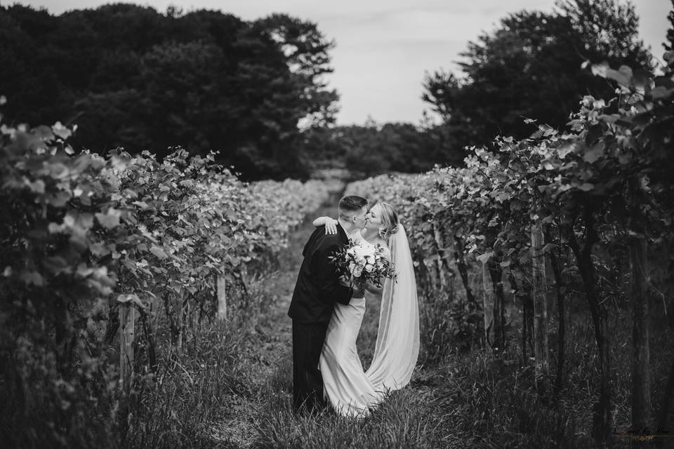 Vineyard kiss