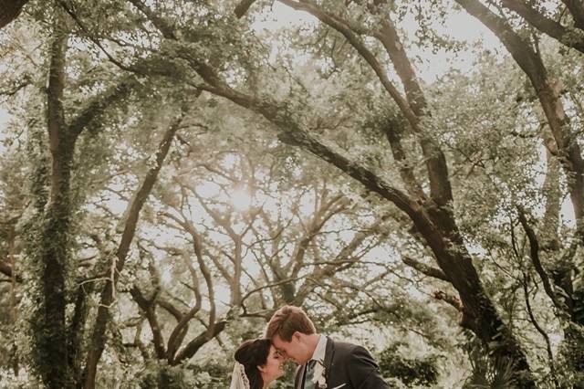 Palm Harbor Wedding