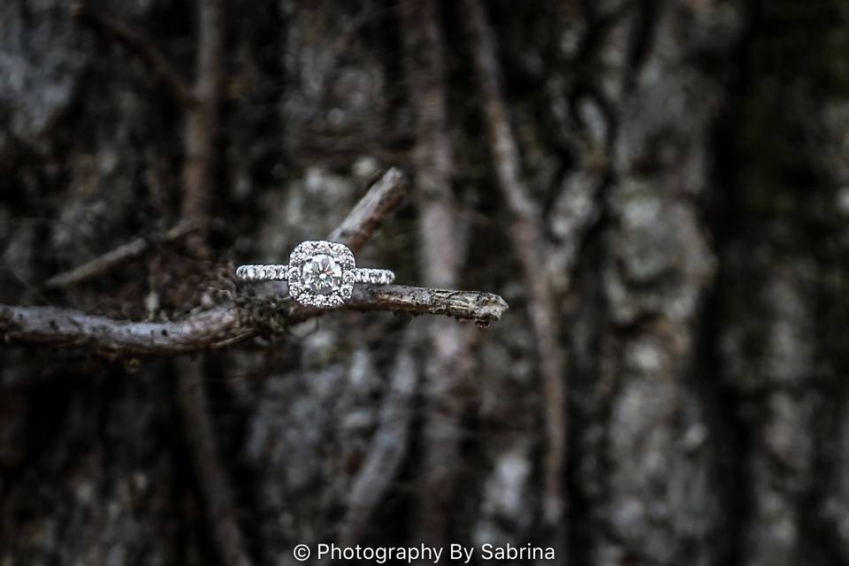 Close-up of the rings