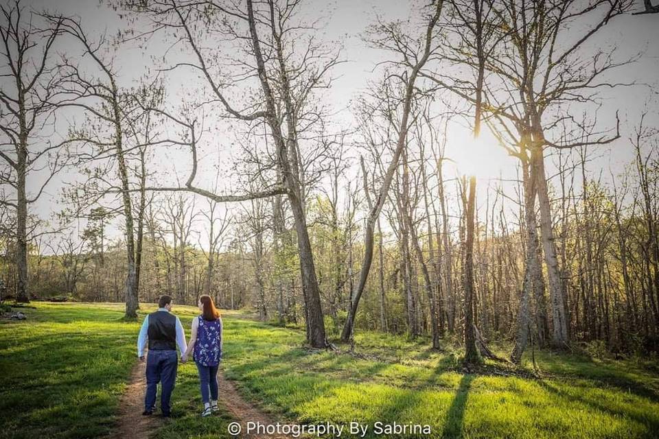 A stroll through nature