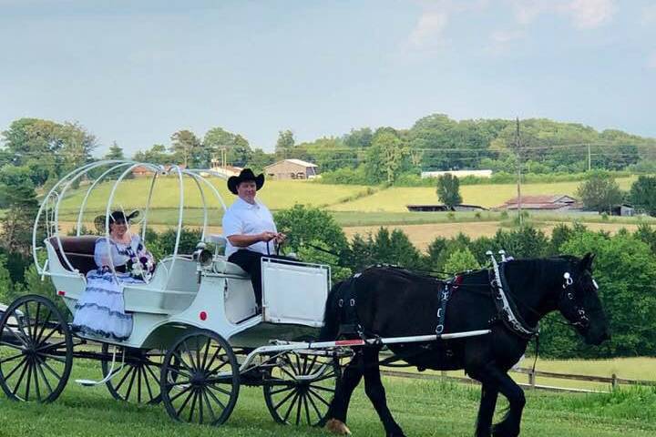 Bride coming in