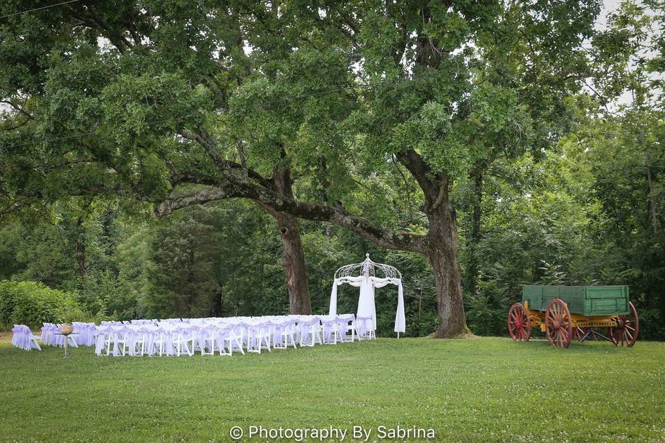 Ceremony area