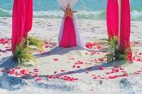 Outdoor wedding setup