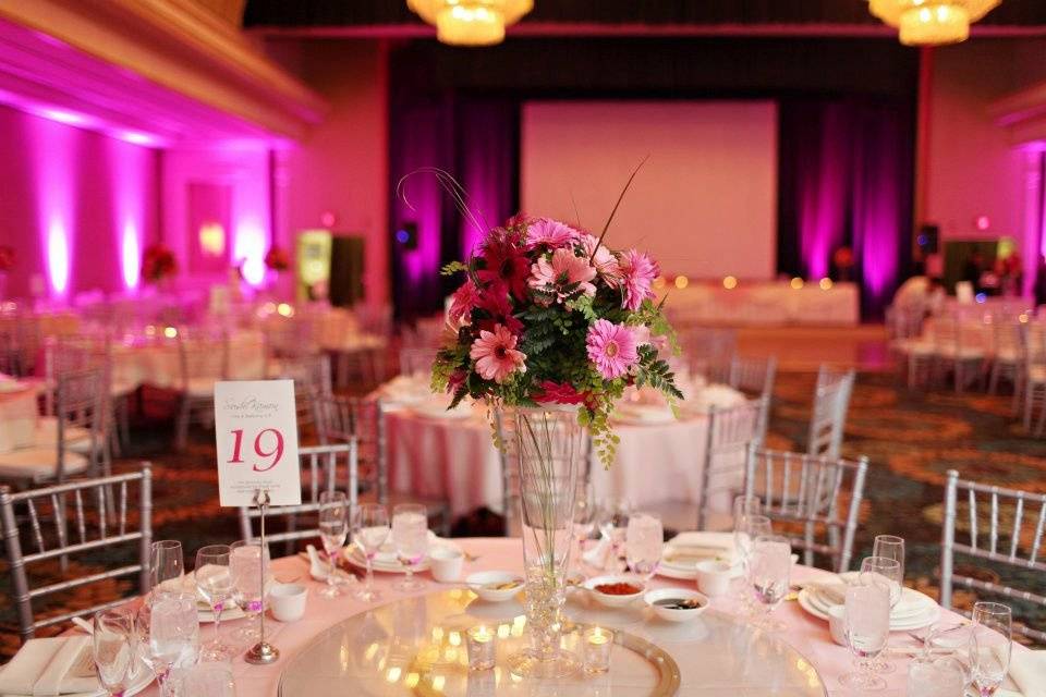 Detailediva Events