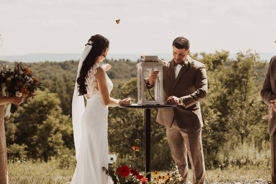 Butterfly release. LOVELY.