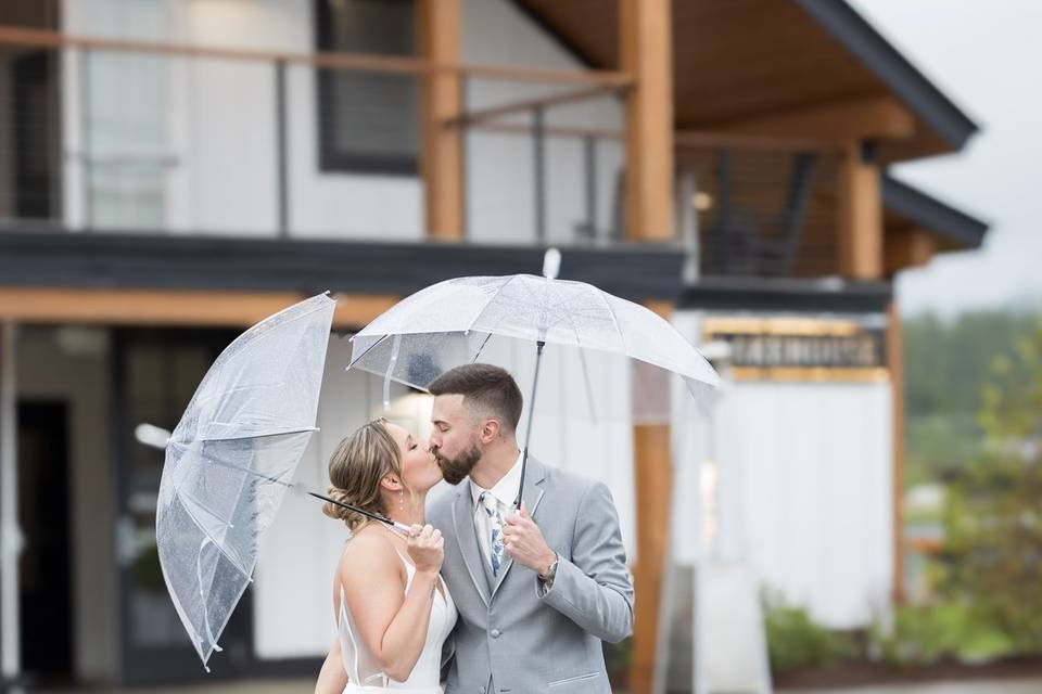 Owls Nest | Rainy Day