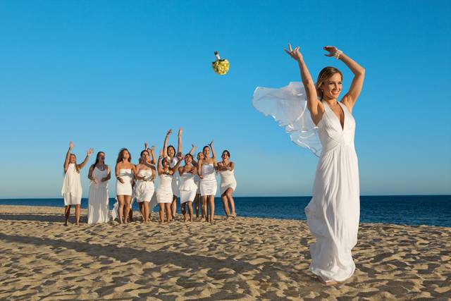 Beach Weddings
