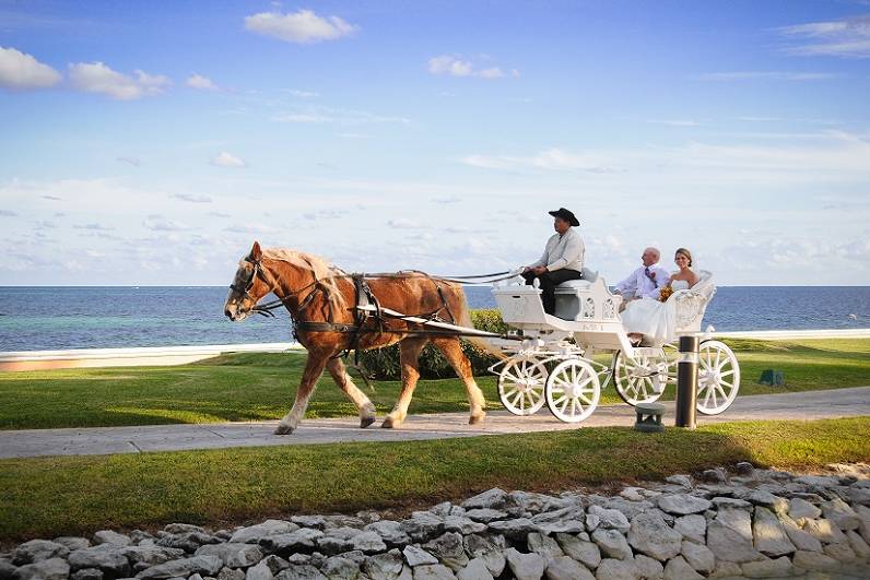 Hoarse Carriage