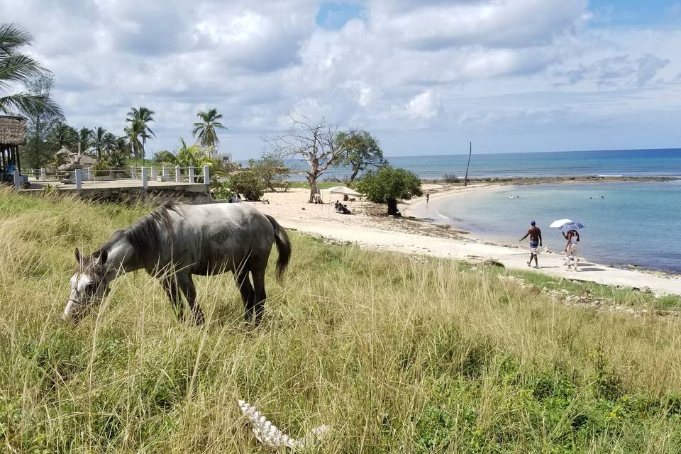 Beach in Cuba
