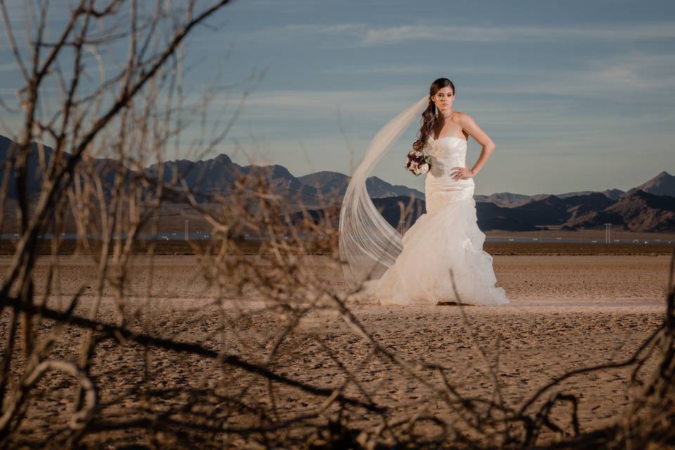 The bride shoot 2