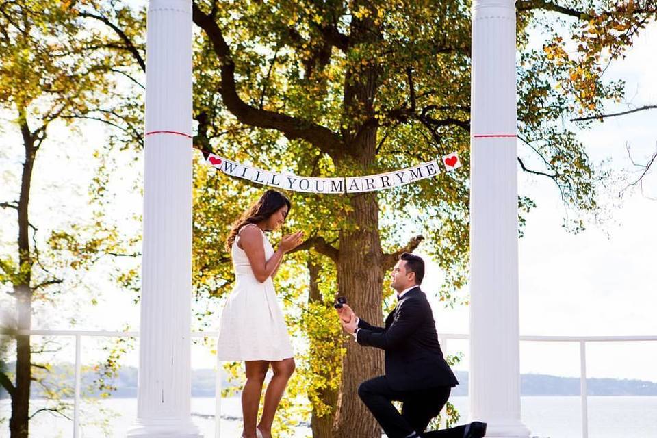 Proposal