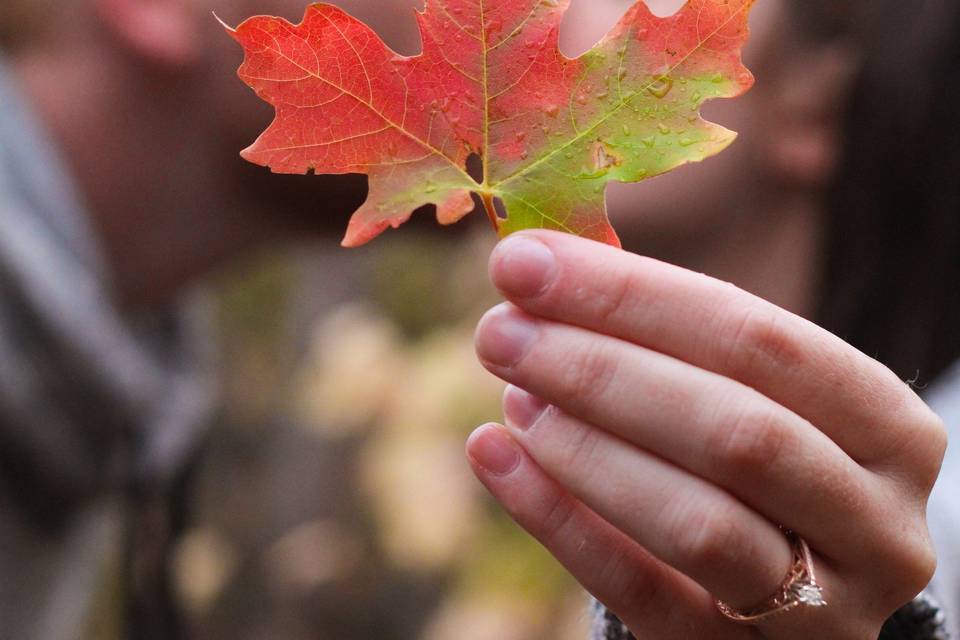 Fall Engagement