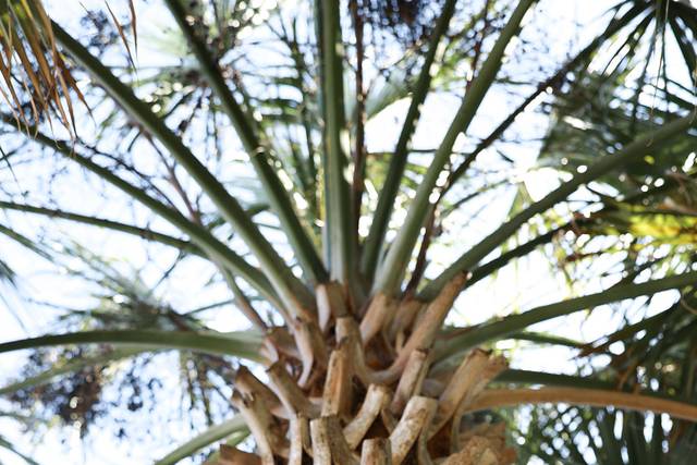 📸: Emma Carol Photography