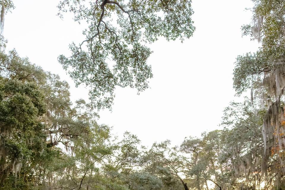 📸: Karlee Searcy Photography