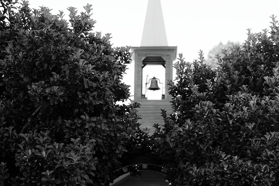 Dailey Alexandra Photography
