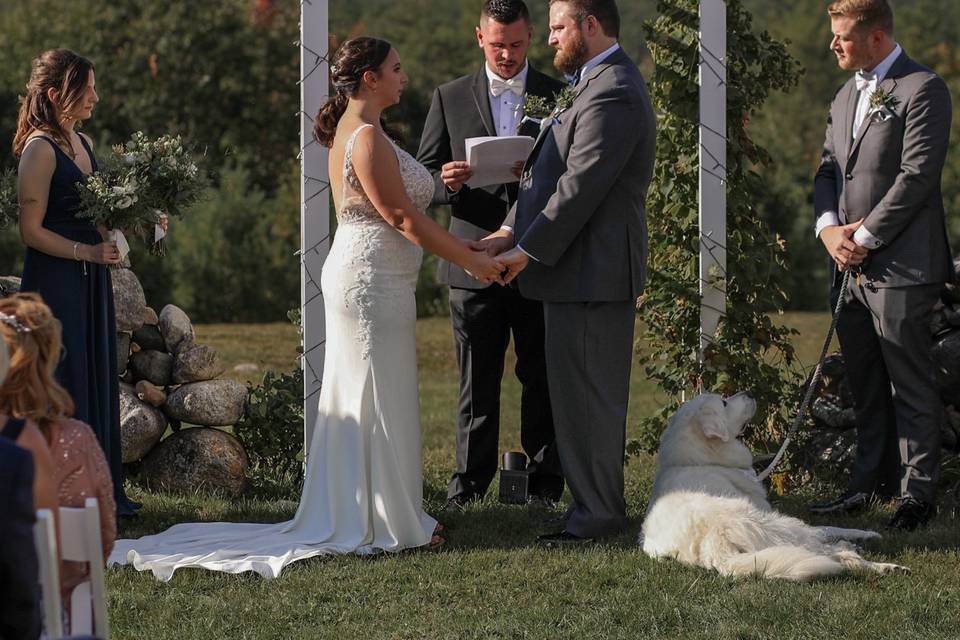 Bride & Groom