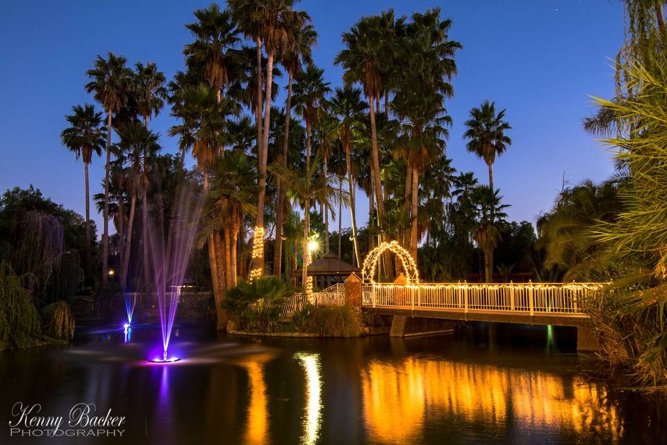 The Lagoon at Night