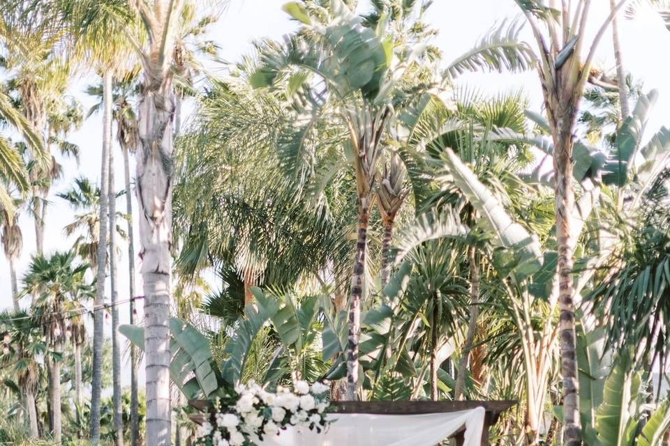 Ceremony arch