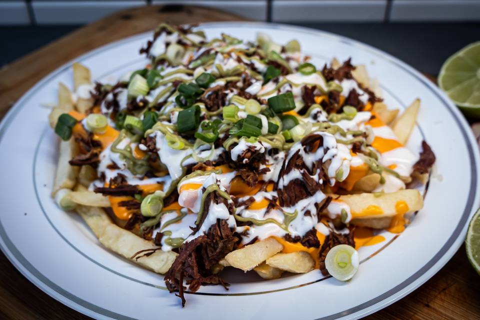 Birria fries