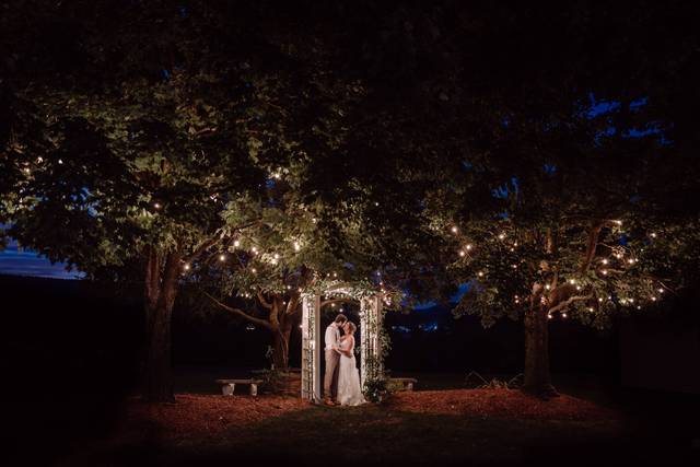 Wedding night portrait