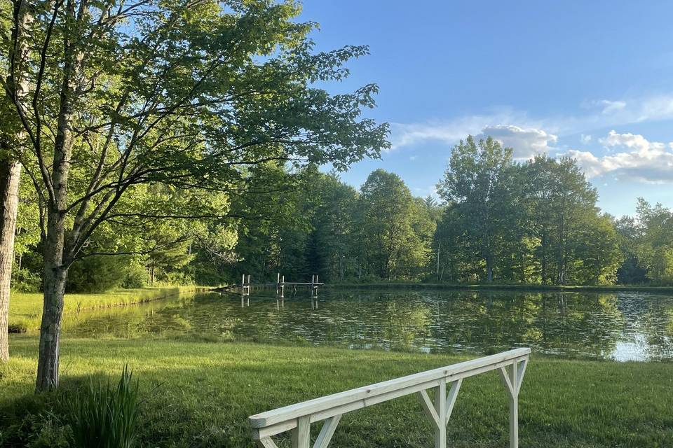 Pond surrounded by trees