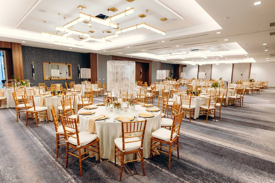 Reception Chivalry Chairs