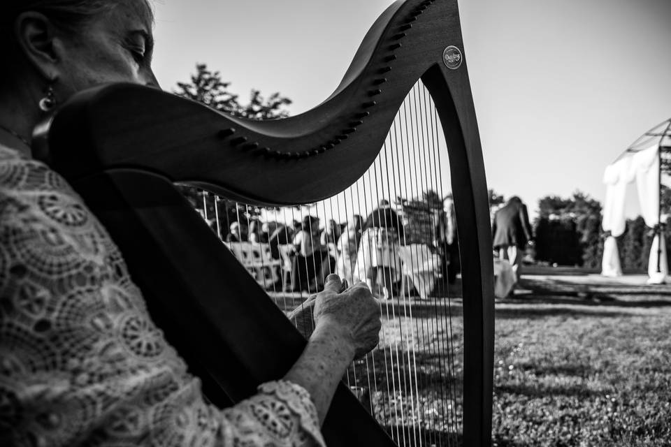 Through the harp.