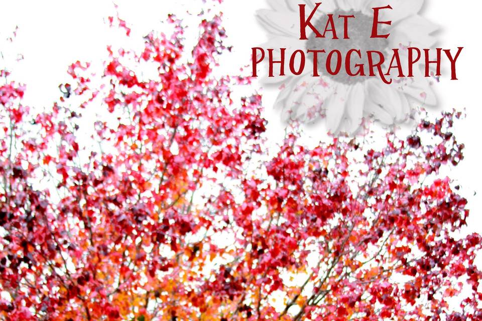 Kat E Photography