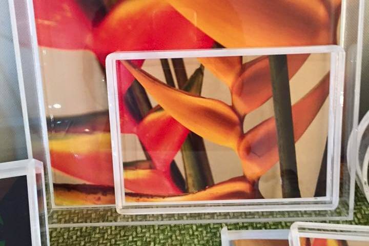 Colorful! Grown locally, heliconias, will liven up any room.  Give these trays to your bridesmaids or use them to decorate.  In any case, they will always remind you of your time in Puerto Rico!