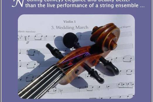 StringMusic.net