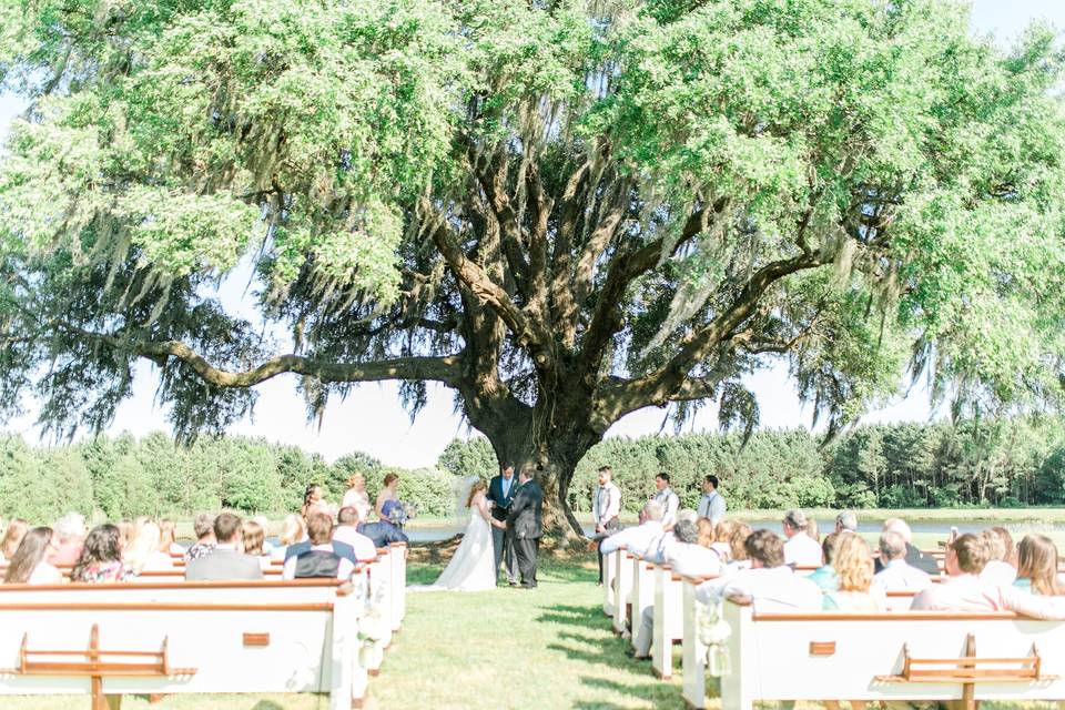 Outdoor wedding ceremony