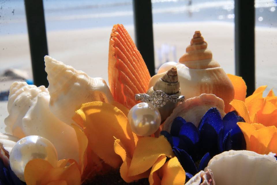 The ring and seashells