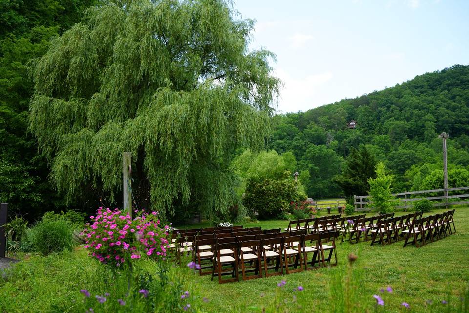 Summer willow tree wedding
