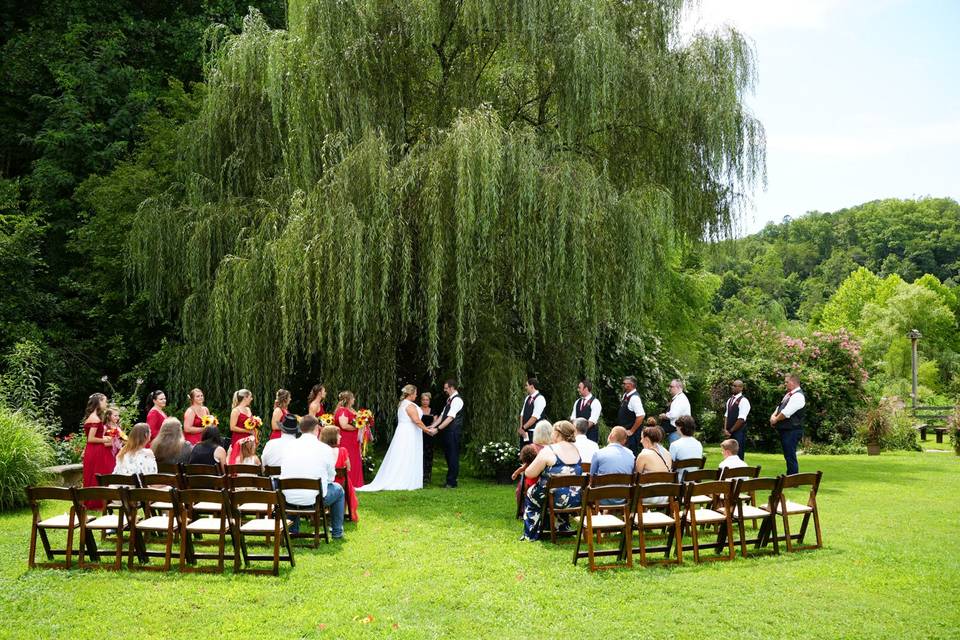 Willow tree wedding ceremony