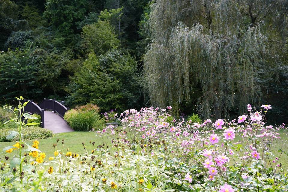 September Willow Garden