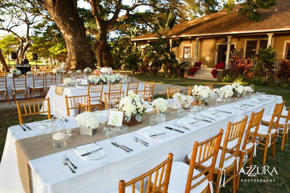 Long table for guests