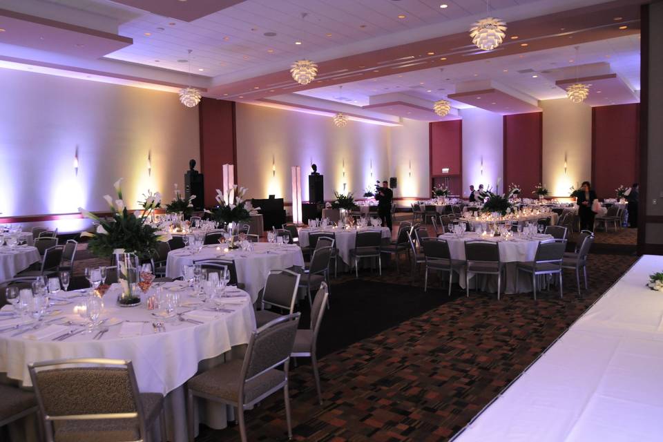 Wedding Uplighting by Boom Entertainment @The Westin in wheeling - Hi powered LED Martin Stage Bar 54L were used in order to achieve even color on 22' tall ceilings