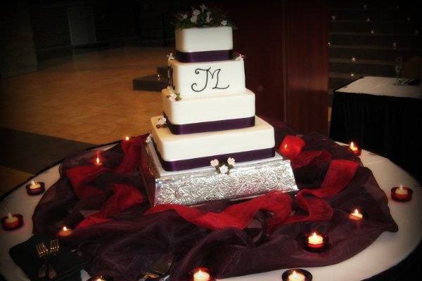 Cake from February 2009 Wedding