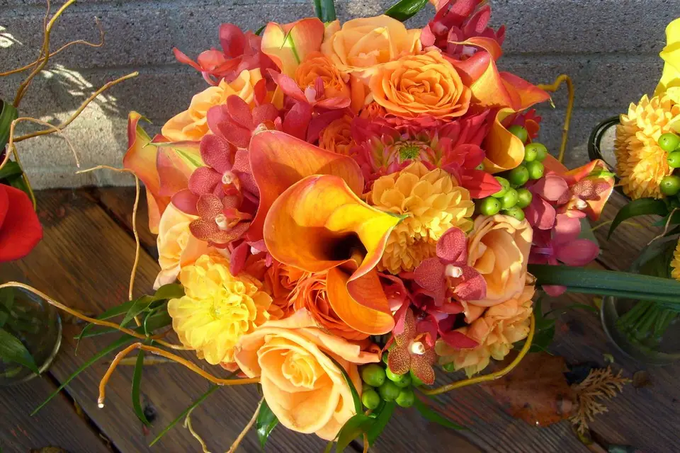 The Wishing Well Florist - Reviews, Photos & Deals 2026 - Chicago